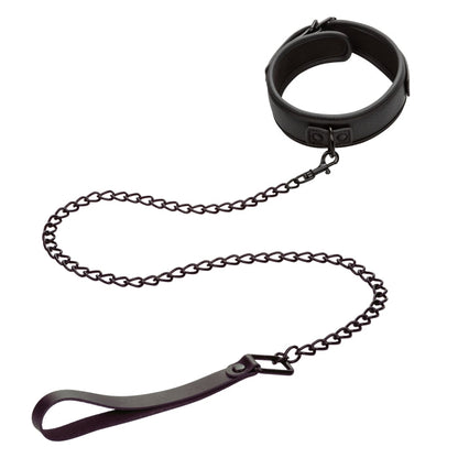 NOCTURNAL COLLECTION COLLAR & LEASH