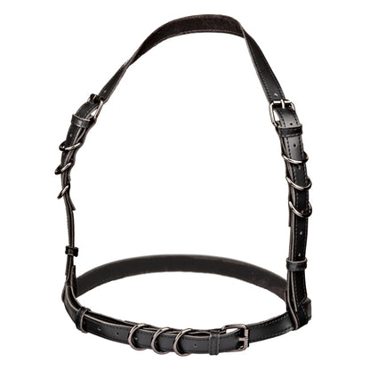 HARNESS BLACK EUPHORIA COLLECTION HALTER BUCKLE