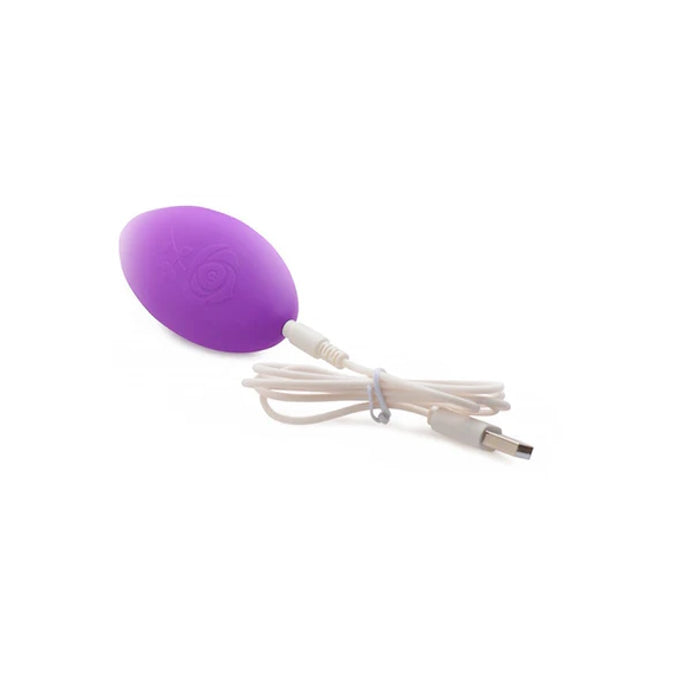 VIBE PANTY W/ REMOTE CONTROL PURPLE NAUGHTY KNIC